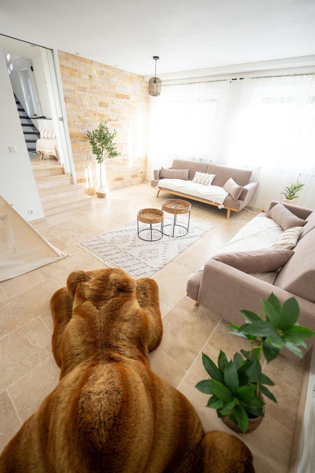 -Stadthaus Ida- Mit Grosser Dachterasse, Am Schlosspark, Luftkurort Kisslegg, Boxspringbetten, Kaffeevollautomat, Smarttv, Familienfreundlich, Grosszuegig, Zentral 외부 사진