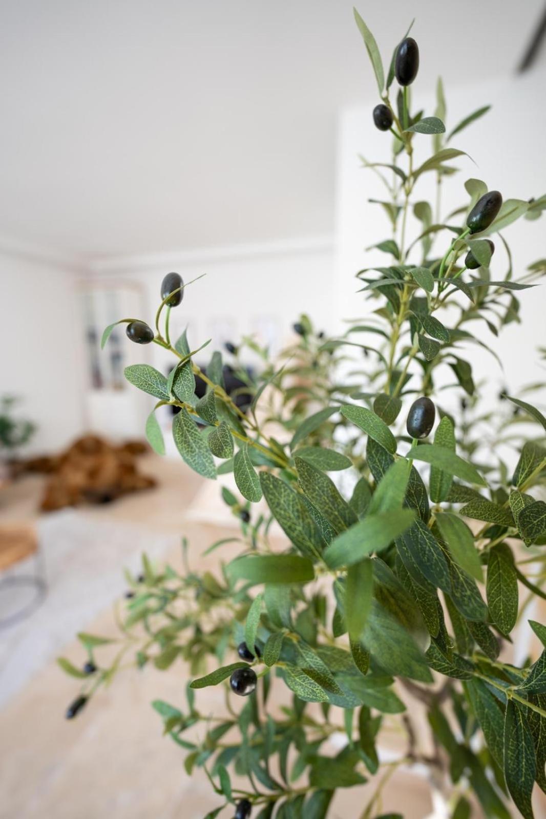 -Stadthaus Ida- Mit Grosser Dachterasse, Am Schlosspark, Luftkurort Kisslegg, Boxspringbetten, Kaffeevollautomat, Smarttv, Familienfreundlich, Grosszuegig, Zentral 외부 사진
